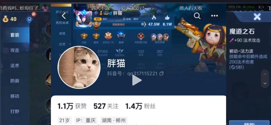 胖猫在王者荣耀中被黑的原因是什么？