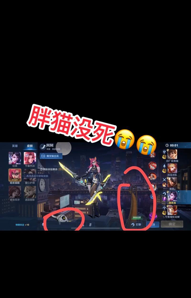 胖猫在王者荣耀中被黑的原因是什么？