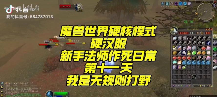 魔兽世界打不过野怪怎么办？如何提高打野效率？
