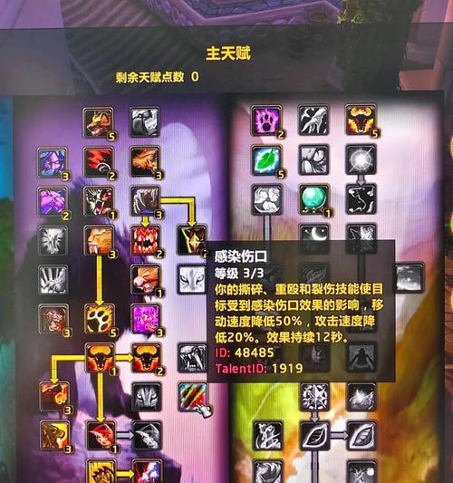 魔兽世界熊T如何提高输出？熊T输出技巧有哪些？