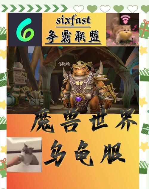 魔兽世界乌龟服鸟技能怎么学？乌龟服鸟技能的学习条件和方法是什么？