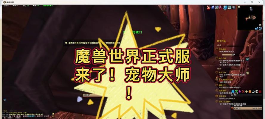 魔兽世界宠物对战技巧有哪些？