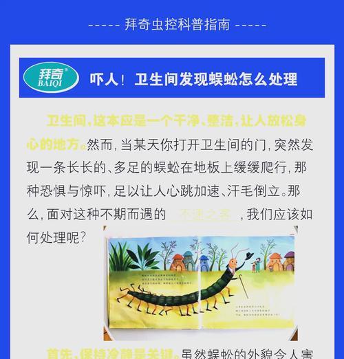 蜈蚣战斗策略是什么？如何有效应对蜈蚣的攻击？