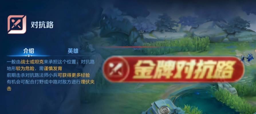 王者荣耀顶级对抗路的水平如何？
