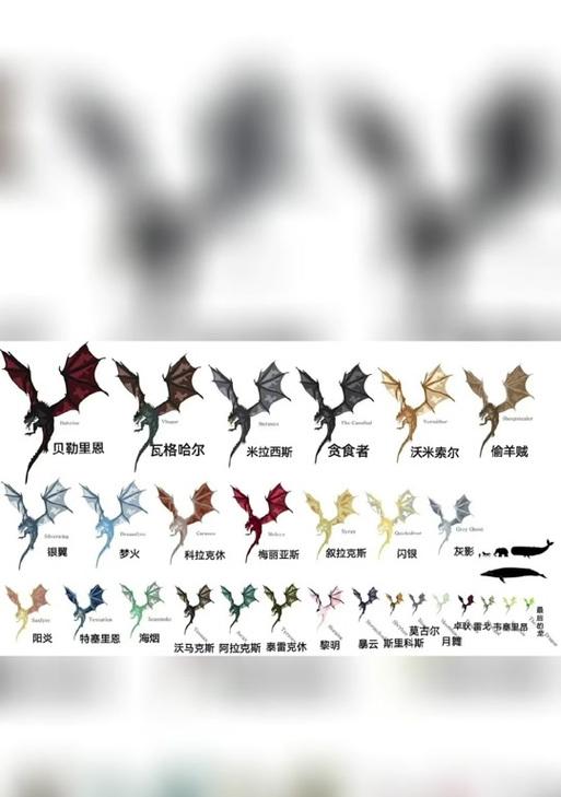 魔兽世界中各条龙的名字是如何命名的？