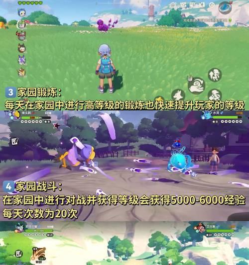 洛克王国快速升级方法有哪些？升级效率如何提高？