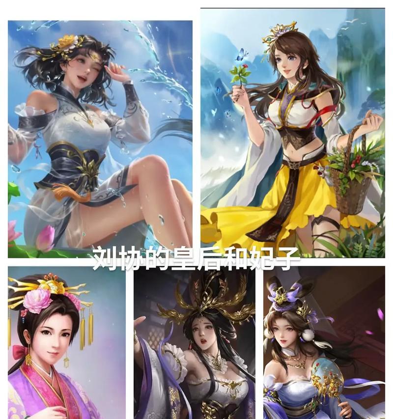 三国杀曹宪曹华怎么杀？曹宪曹华的击杀策略是什么？