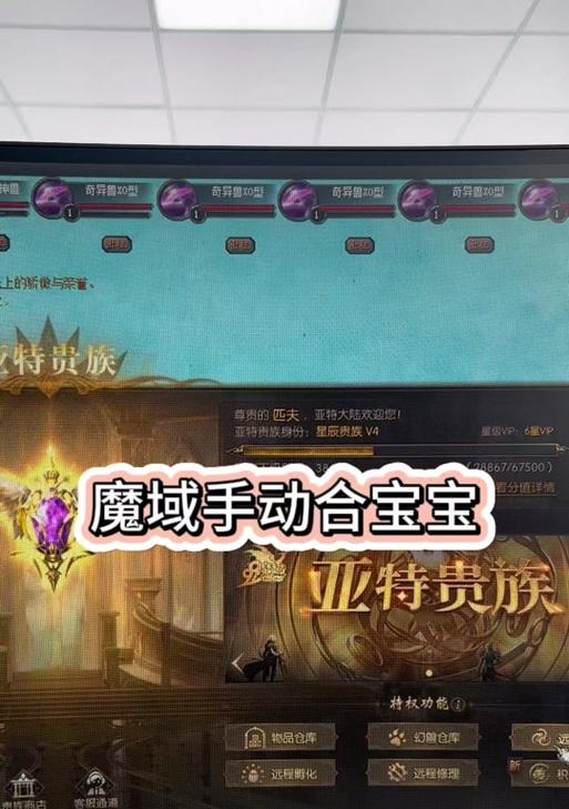 魔域中打猫副本的进入方式是什么？需要什么条件？