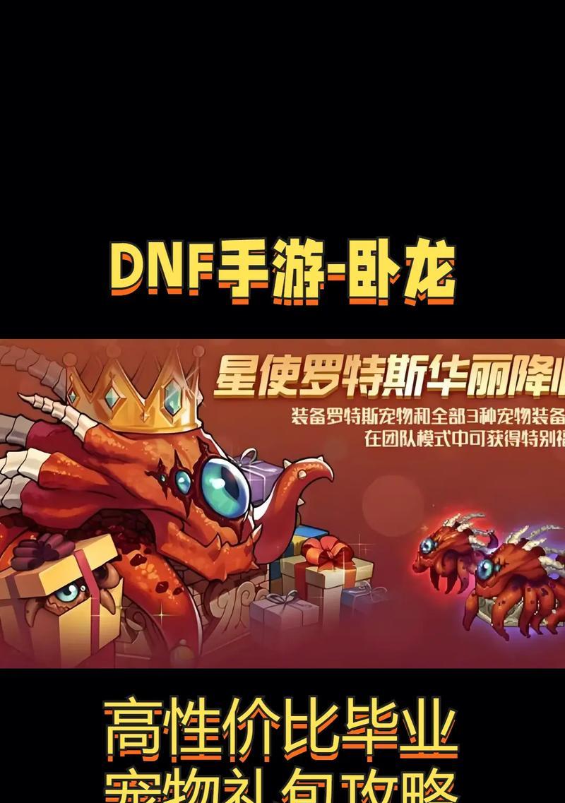 地下城宠物选择哪个最好？如何评估宠物的性价比？