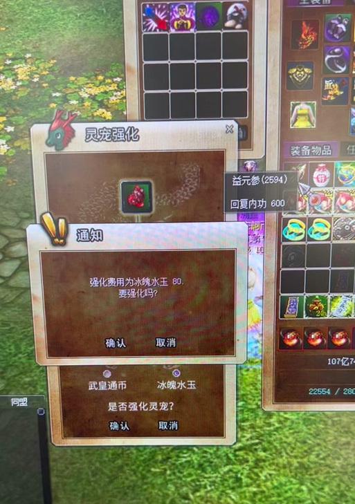 热血江湖灵兽技能如何丢弃？技能替换方法是什么？