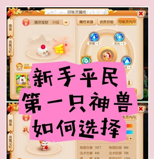 神兽宠物选择标准是什么？选择后如何培养？