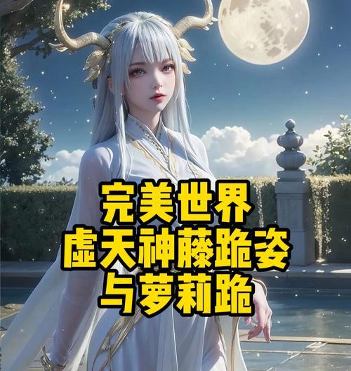 完美世界中虚词的含义是什么？